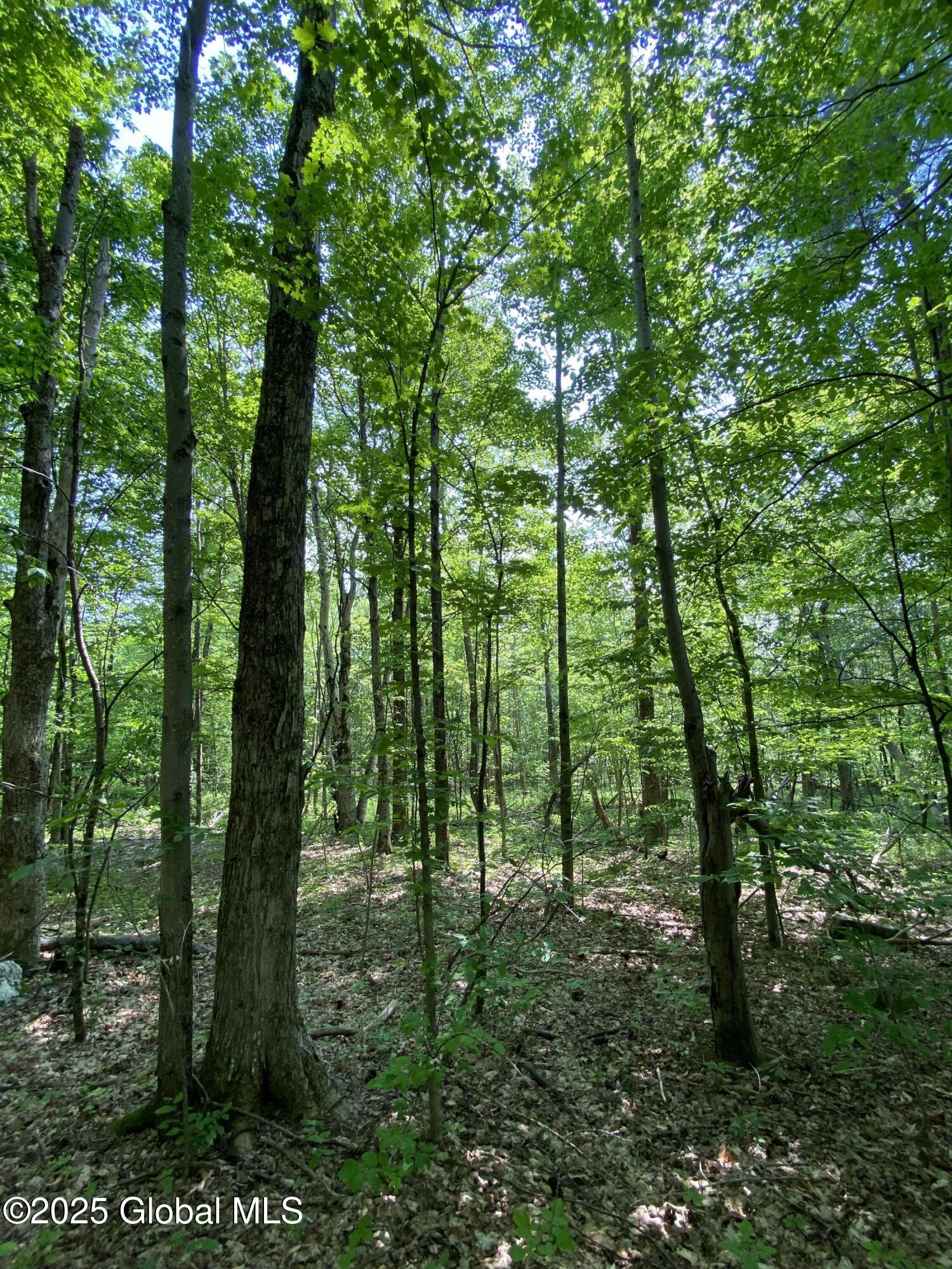 L20.44 Robinson Hollow Way Stephentown NY 12168