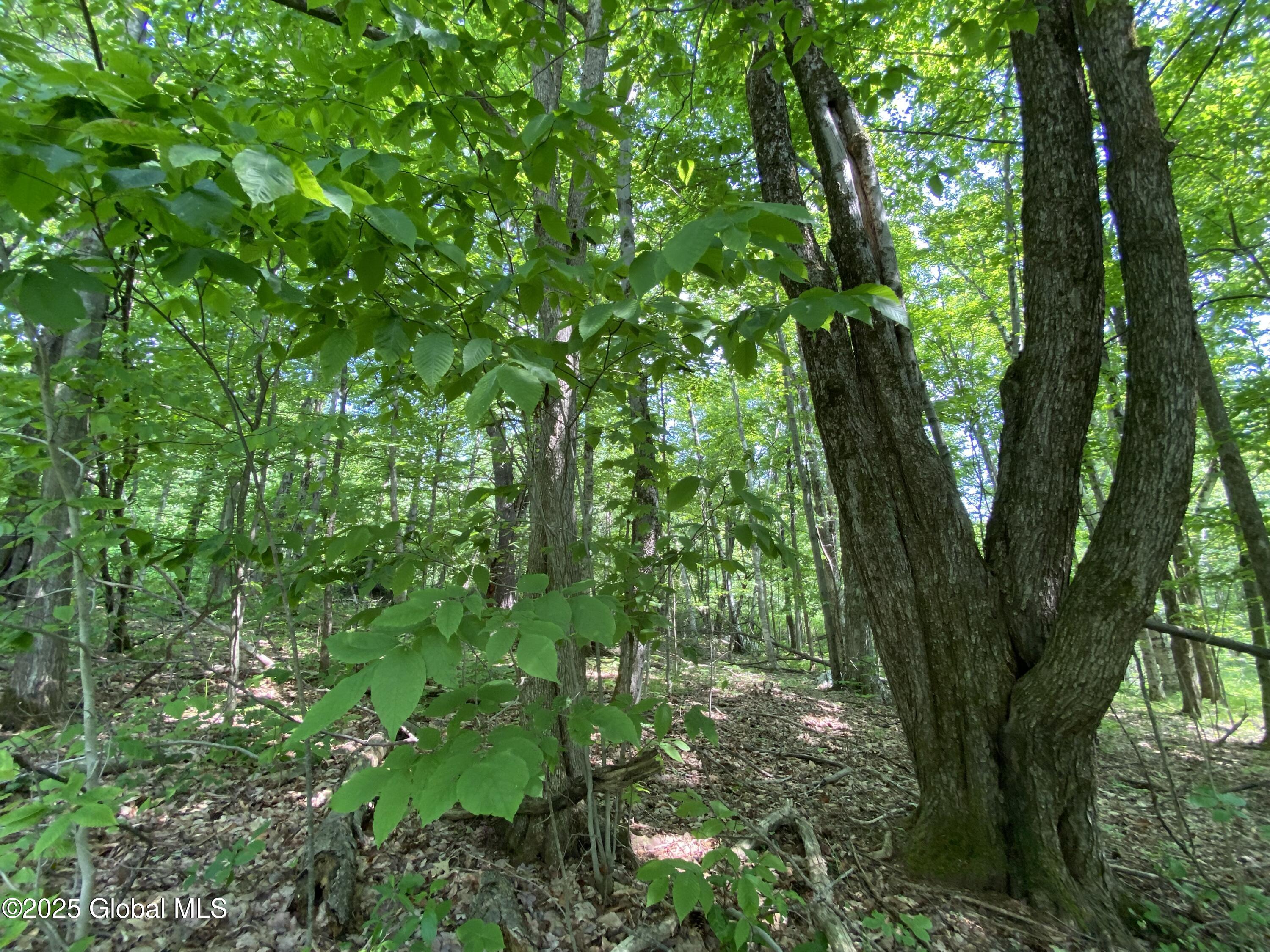 L20.44 Robinson Hollow Way Stephentown NY 12168