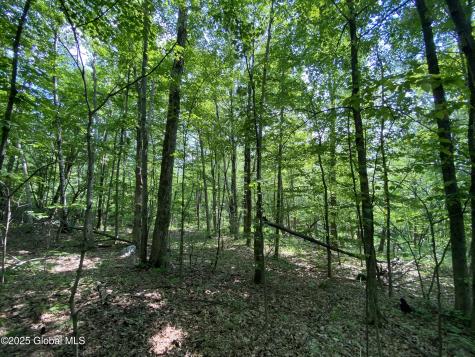 L20.44 Robinson Hollow Way Stephentown NY 12168