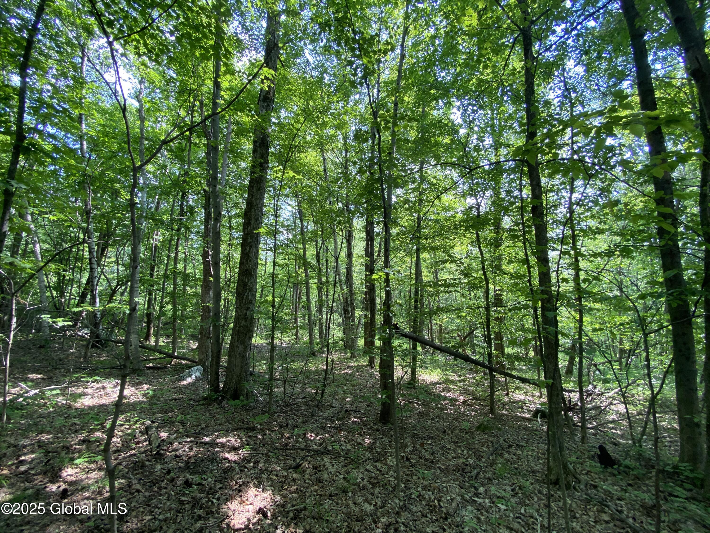 L20.44 Robinson Hollow Way Stephentown NY 12168