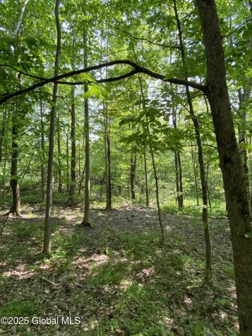 L20.44 Robinson Hollow Way Stephentown NY 12168