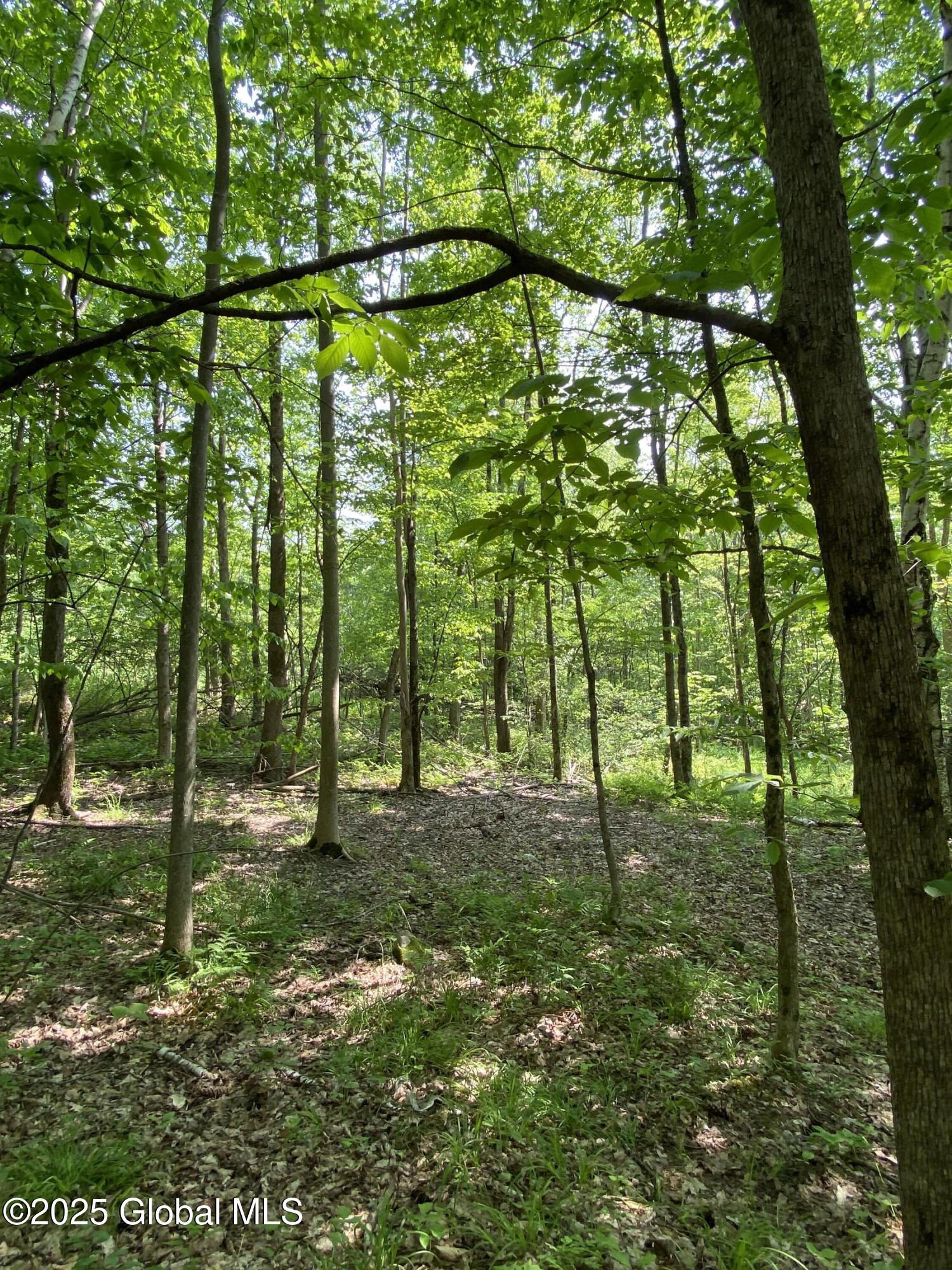 L20.44 Robinson Hollow Way Stephentown NY 12168
