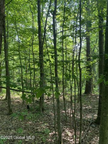 L20.44 Robinson Hollow Way Stephentown NY 12168