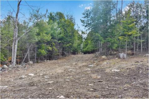 L16 Mountain Meadows Road Adirondack NY 12860