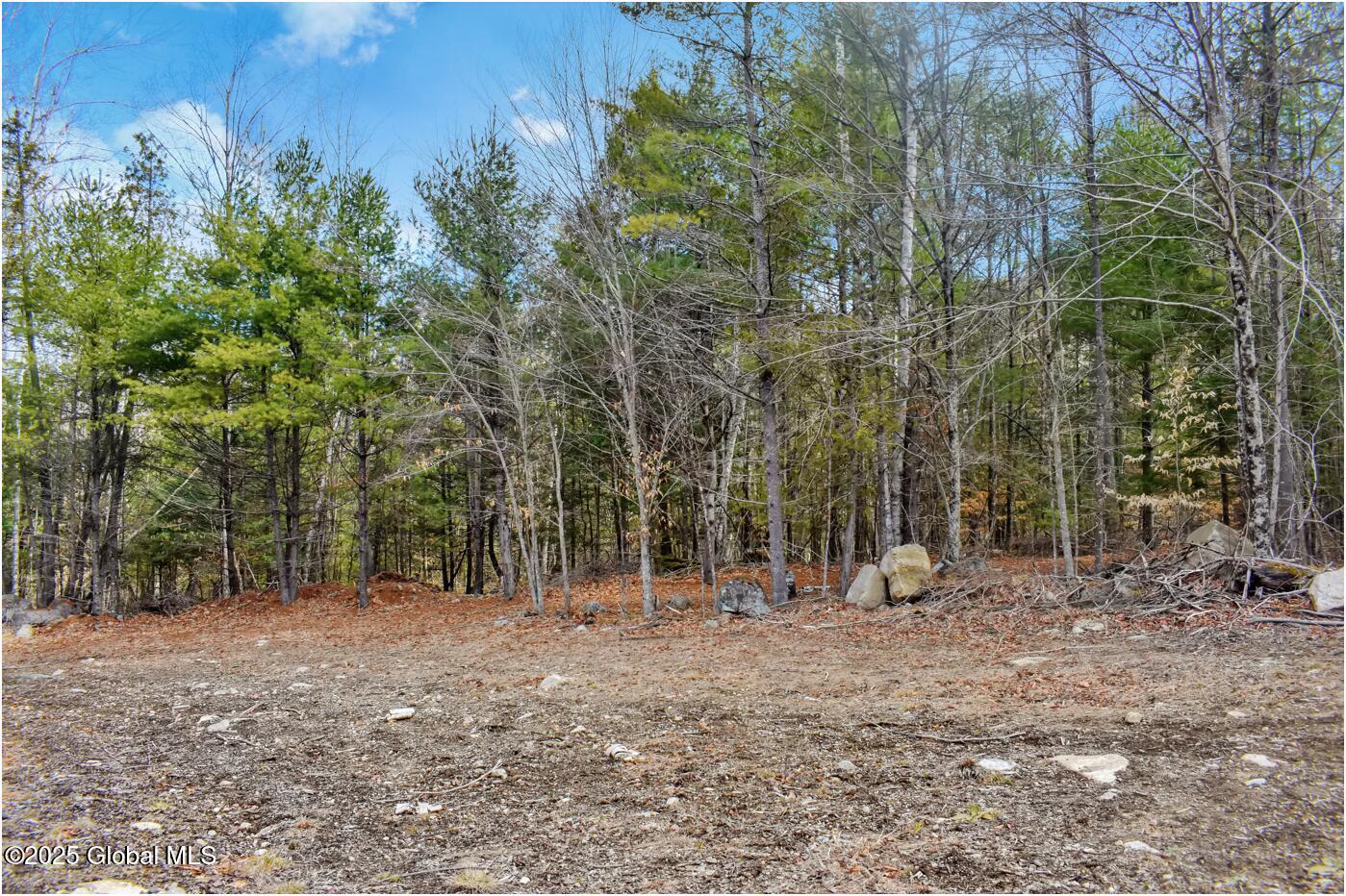 L16 Mountain Meadows Road Adirondack NY 12860