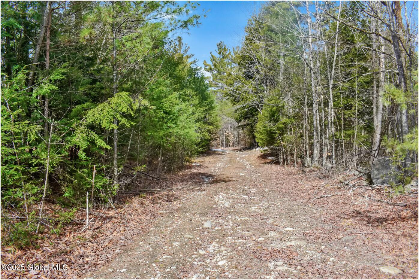 L16 Mountain Meadows Road Adirondack NY 12860