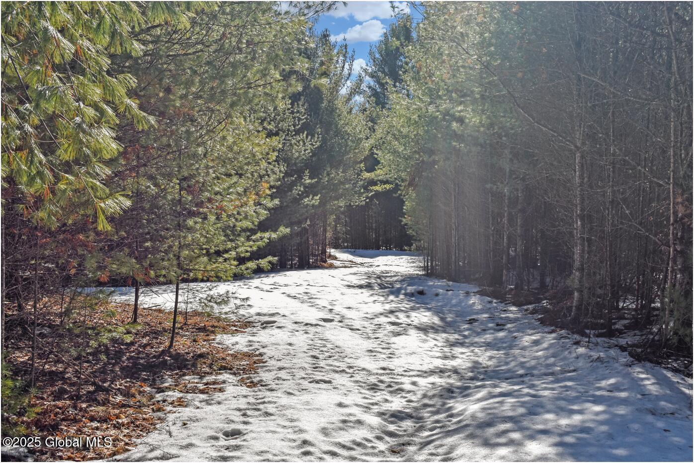 L16 Mountain Meadows Road Adirondack NY 12860