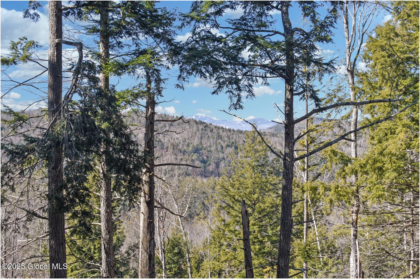 L16 Mountain Meadows Road Adirondack NY 12860