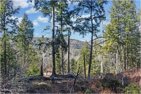 L16 Mountain Meadows Road Adirondack NY 12860