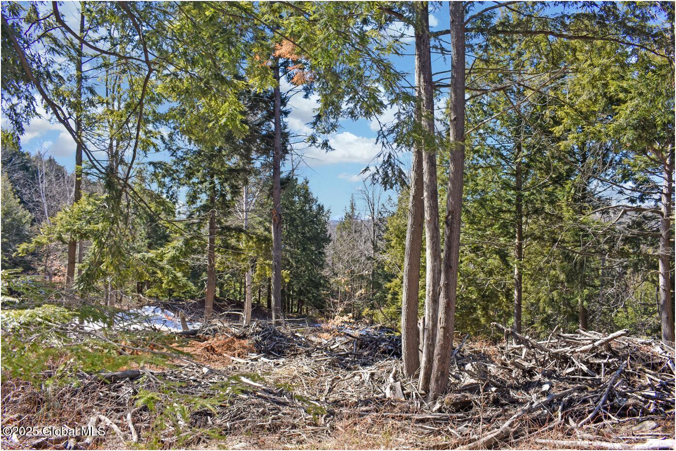 L16 Mountain Meadows Road Adirondack NY 12860