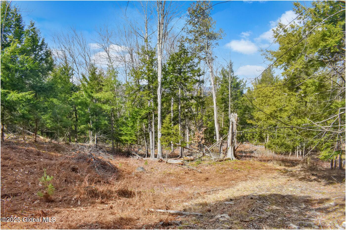 L16 Mountain Meadows Road Adirondack NY 12860