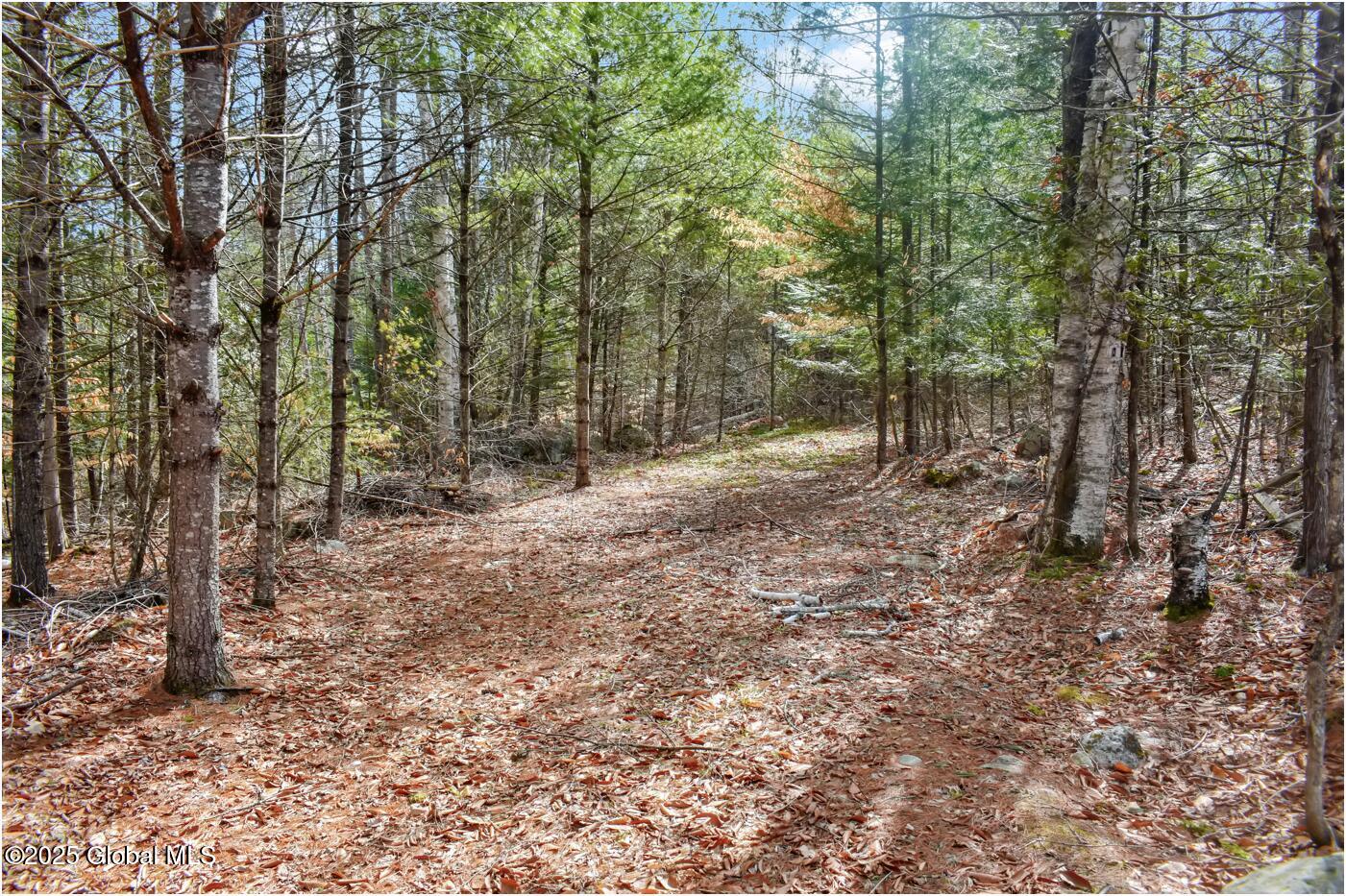 L16 Mountain Meadows Road Adirondack NY 12860