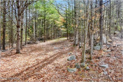 L16 Mountain Meadows Road Adirondack NY 12860