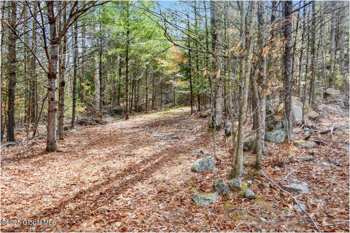 L16 Mountain Meadows Road Adirondack NY 12860