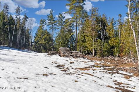 L16 Mountain Meadows Road Adirondack NY 12860