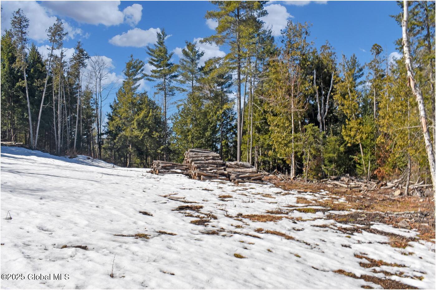 L16 Mountain Meadows Road Adirondack NY 12860