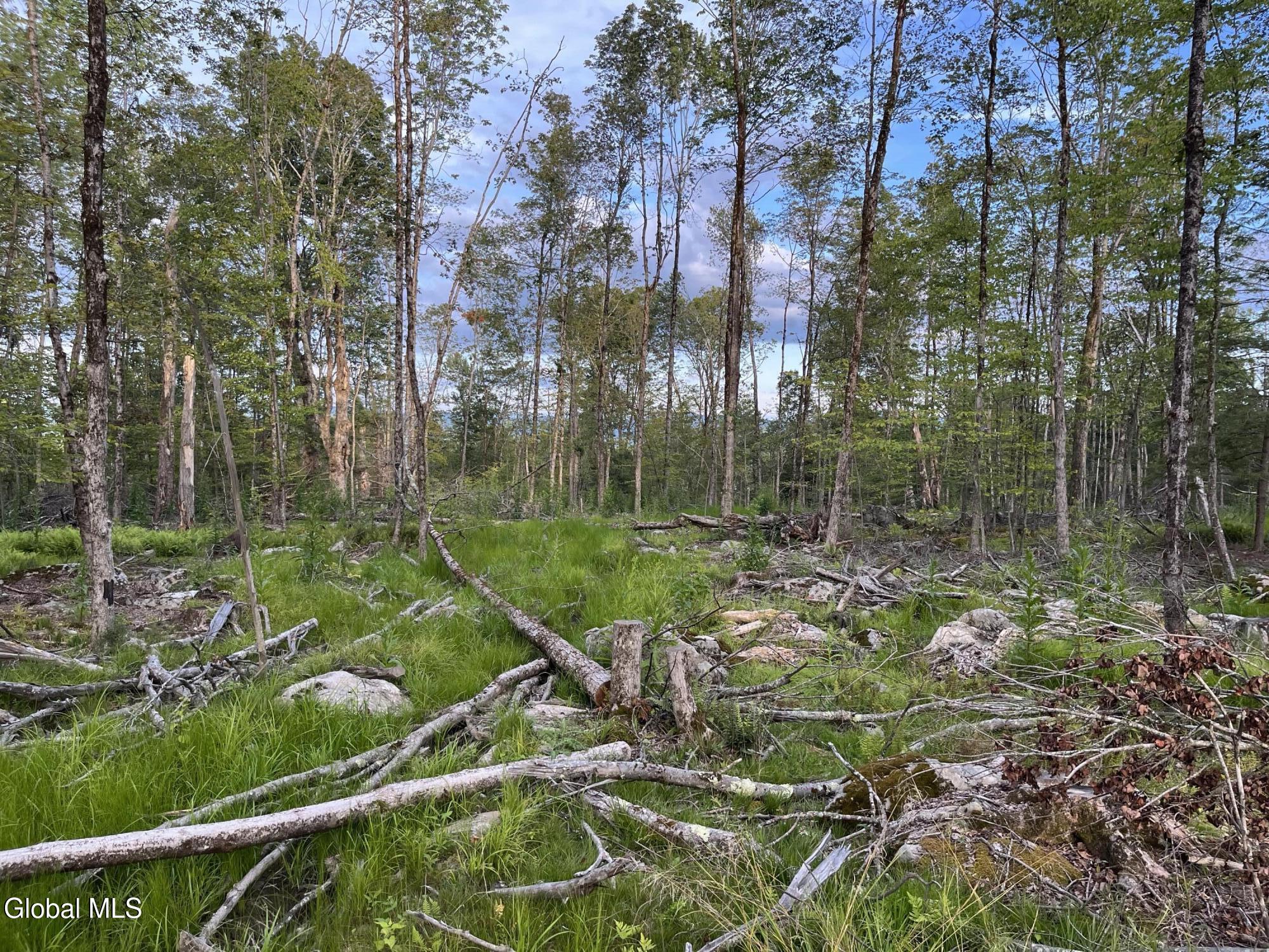 192 Crandall Road Petersburgh NY 12138