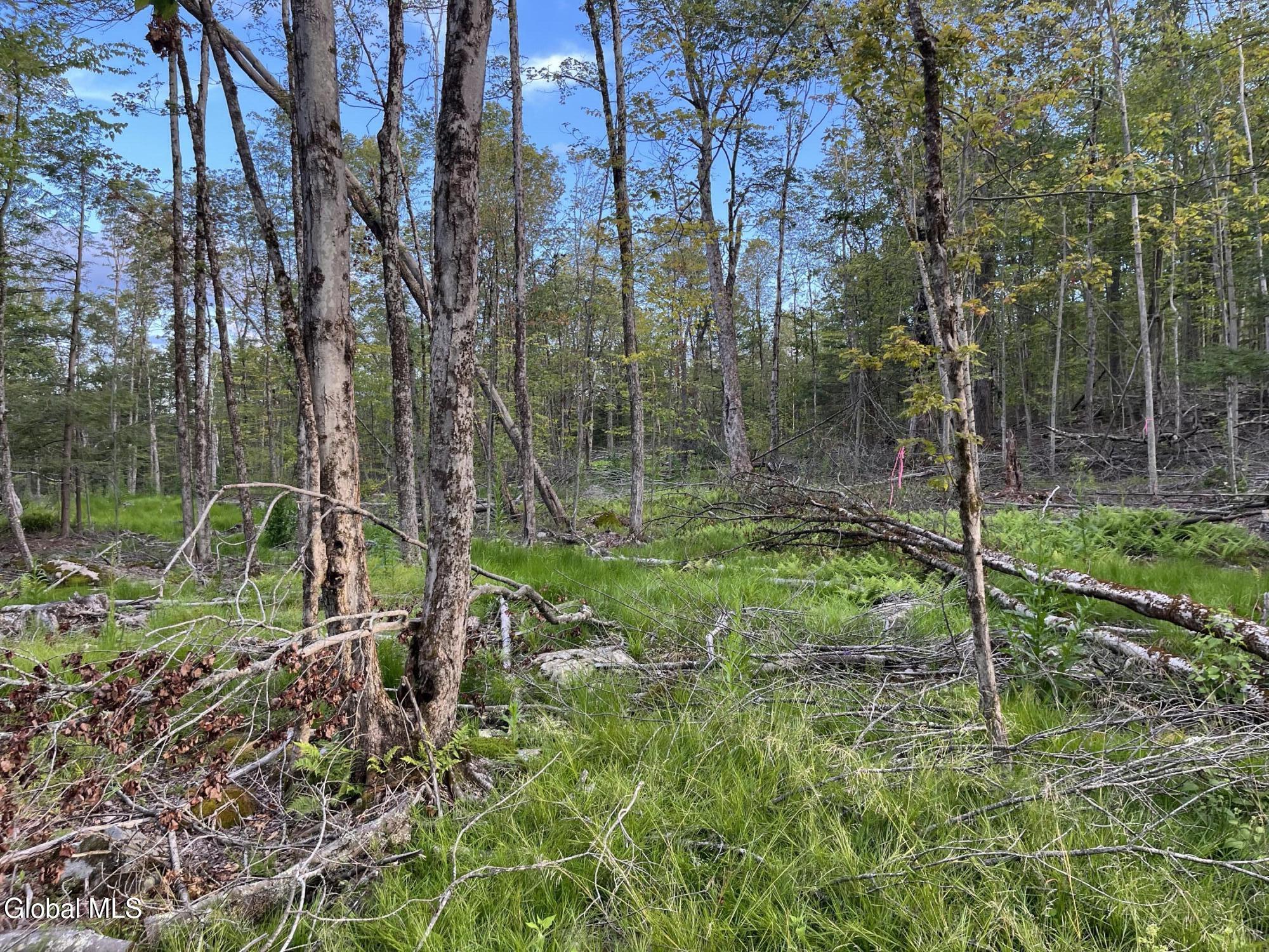 192 Crandall Road Petersburgh NY 12138