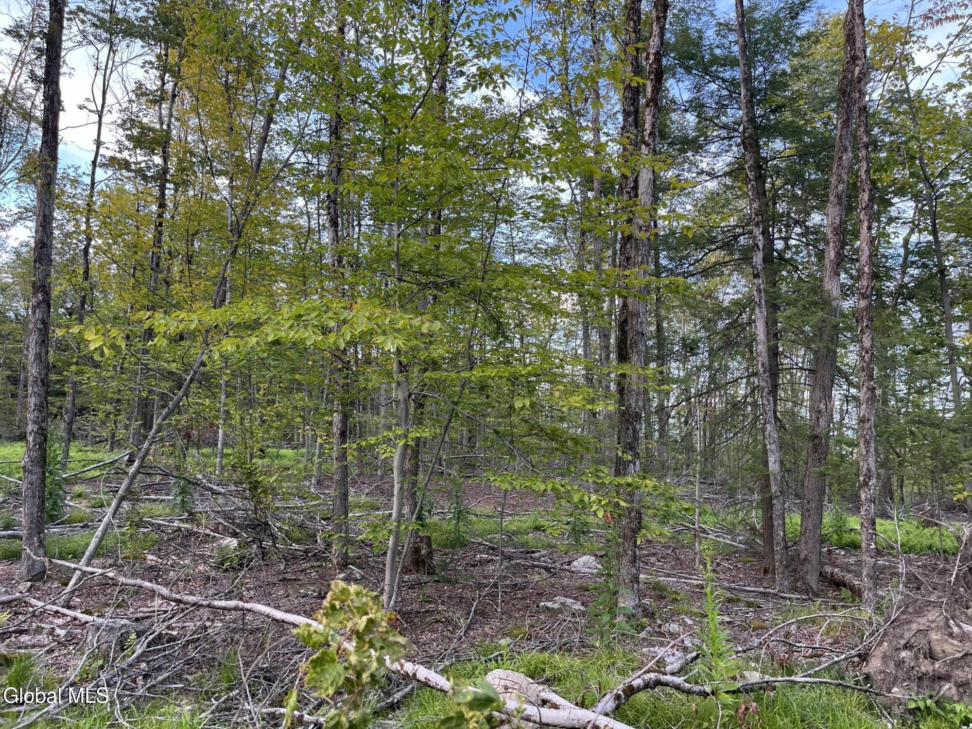 192 Crandall Road Petersburgh NY 12138