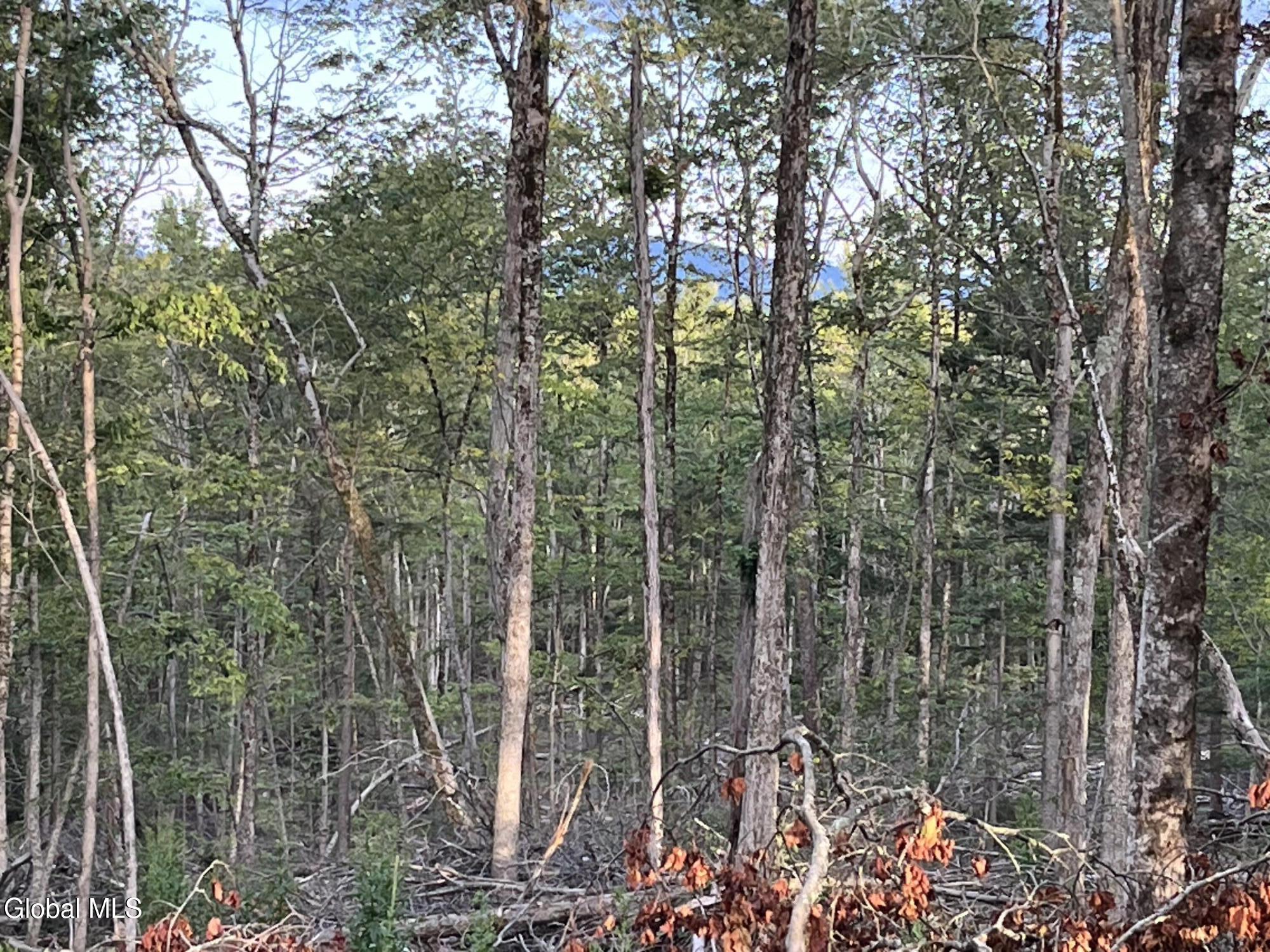 192 Crandall Road Petersburgh NY 12138
