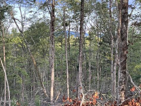 192 Crandall Road Petersburgh NY 12138
