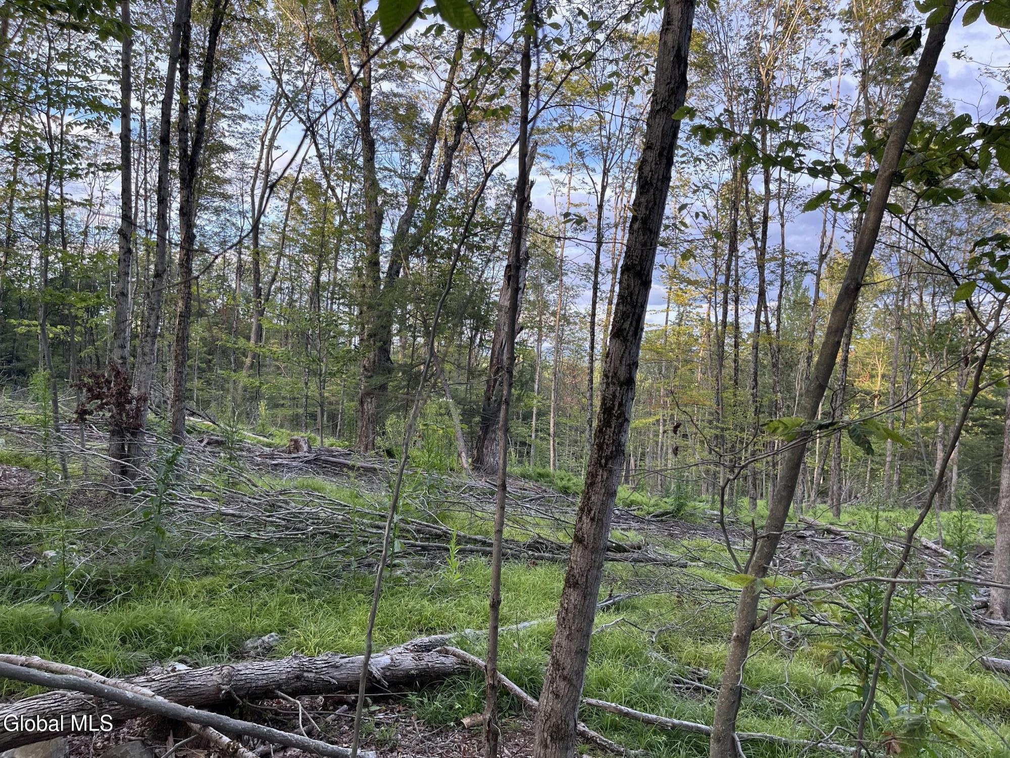 192 Crandall Road Petersburgh NY 12138