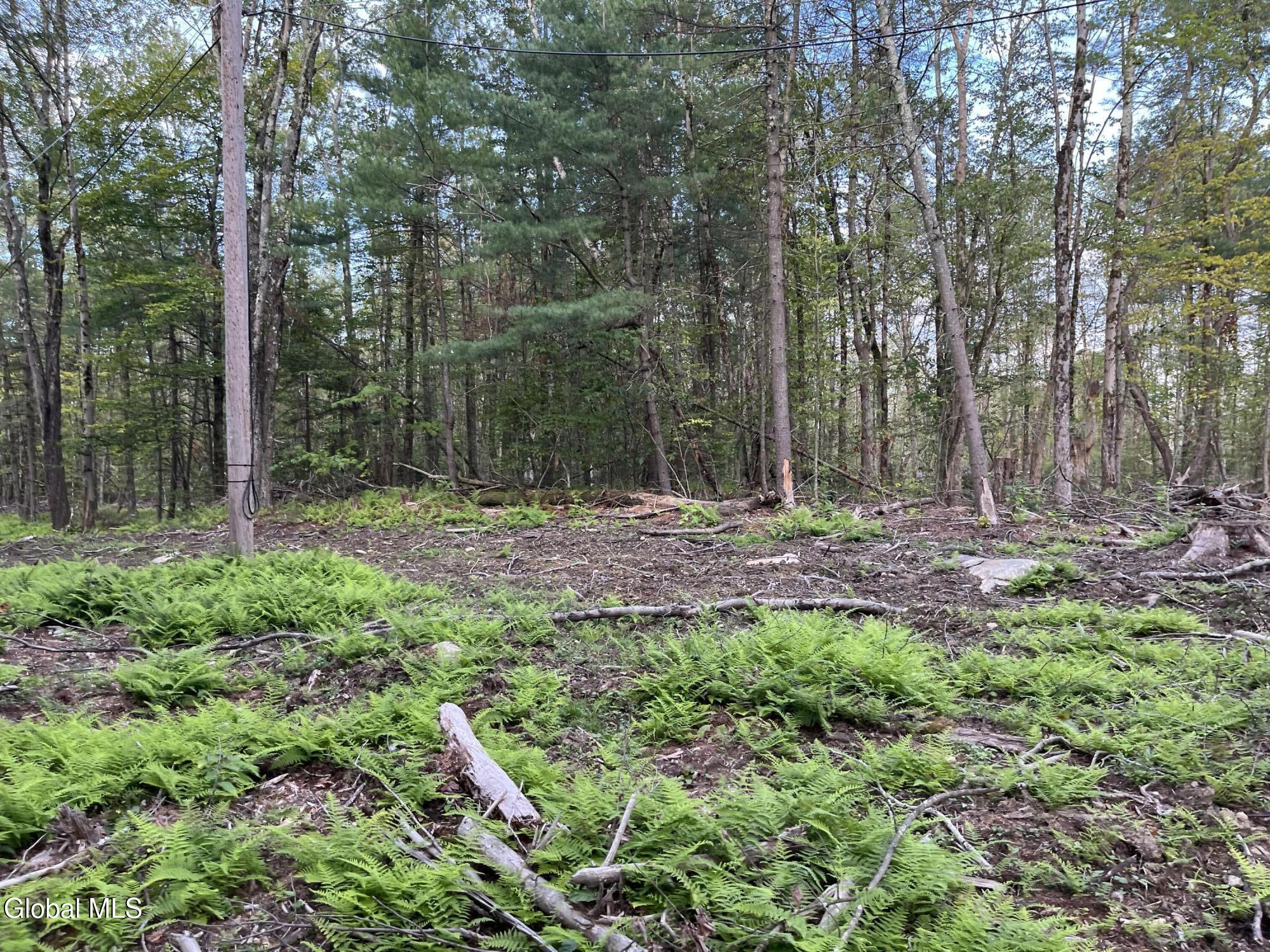 192 Crandall Road Petersburgh NY 12138