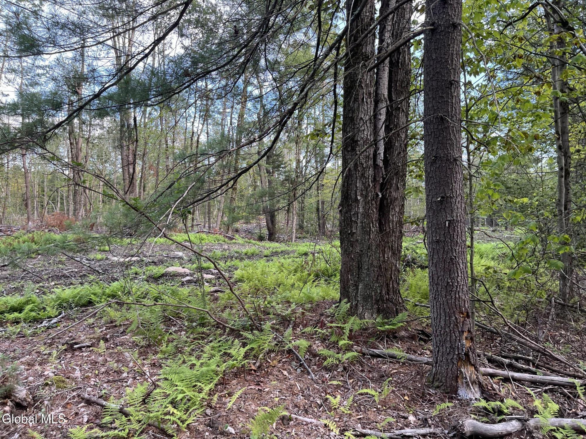192 Crandall Road Petersburgh NY 12138