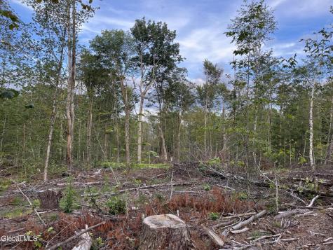 192 Crandall Road Petersburgh NY 12138