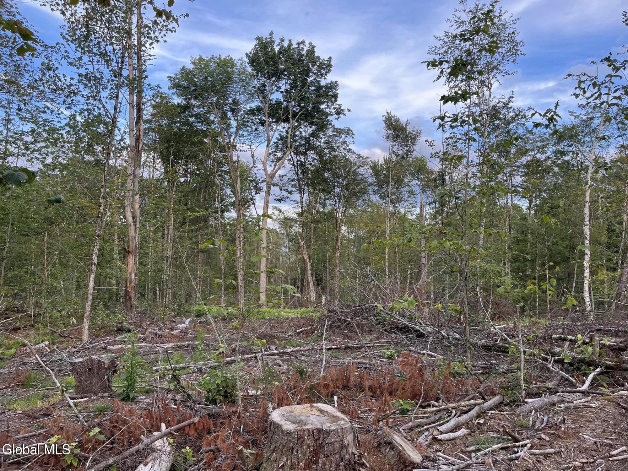192 Crandall Road Petersburgh NY 12138