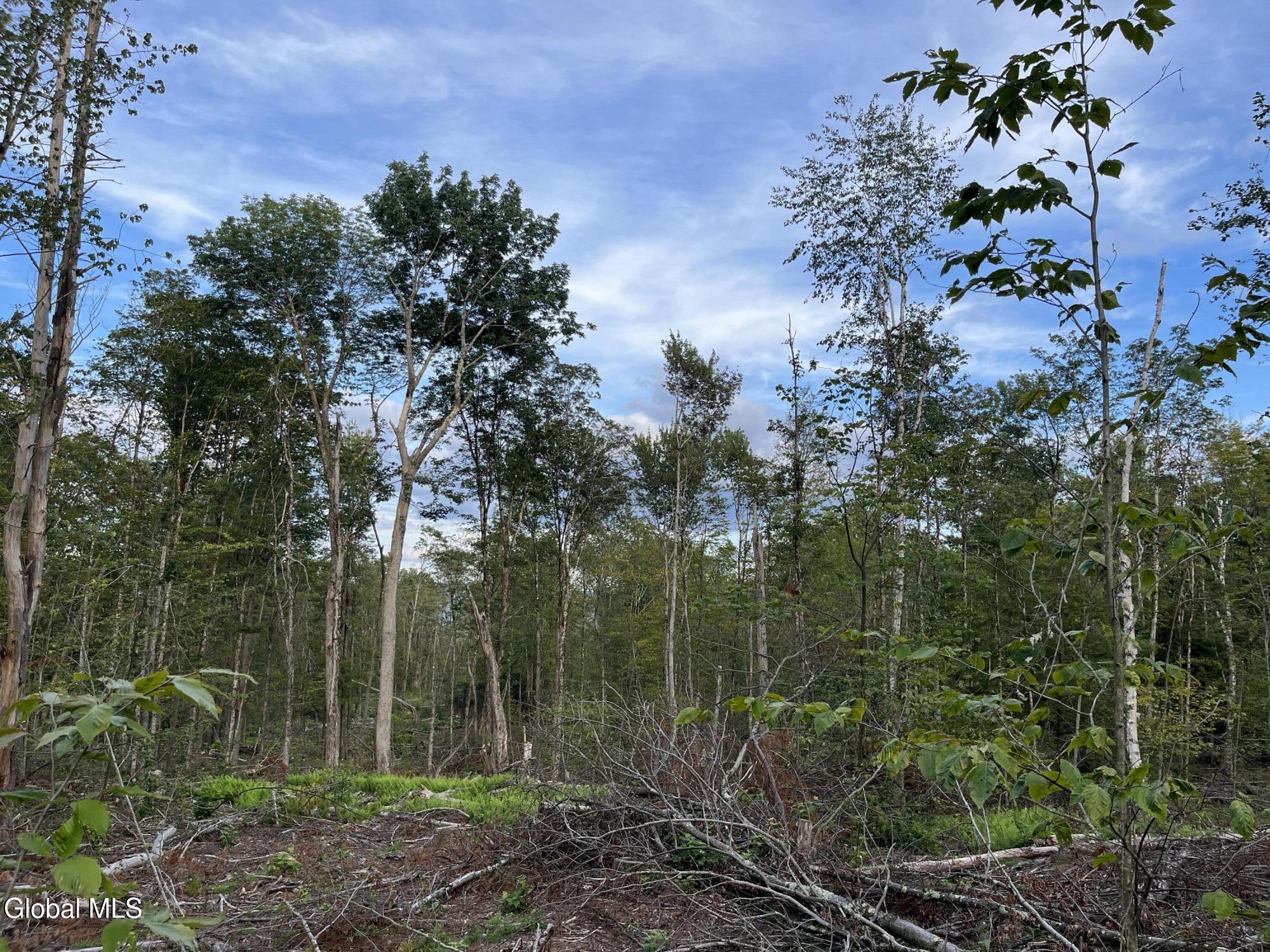 192 Crandall Road Petersburgh NY 12138
