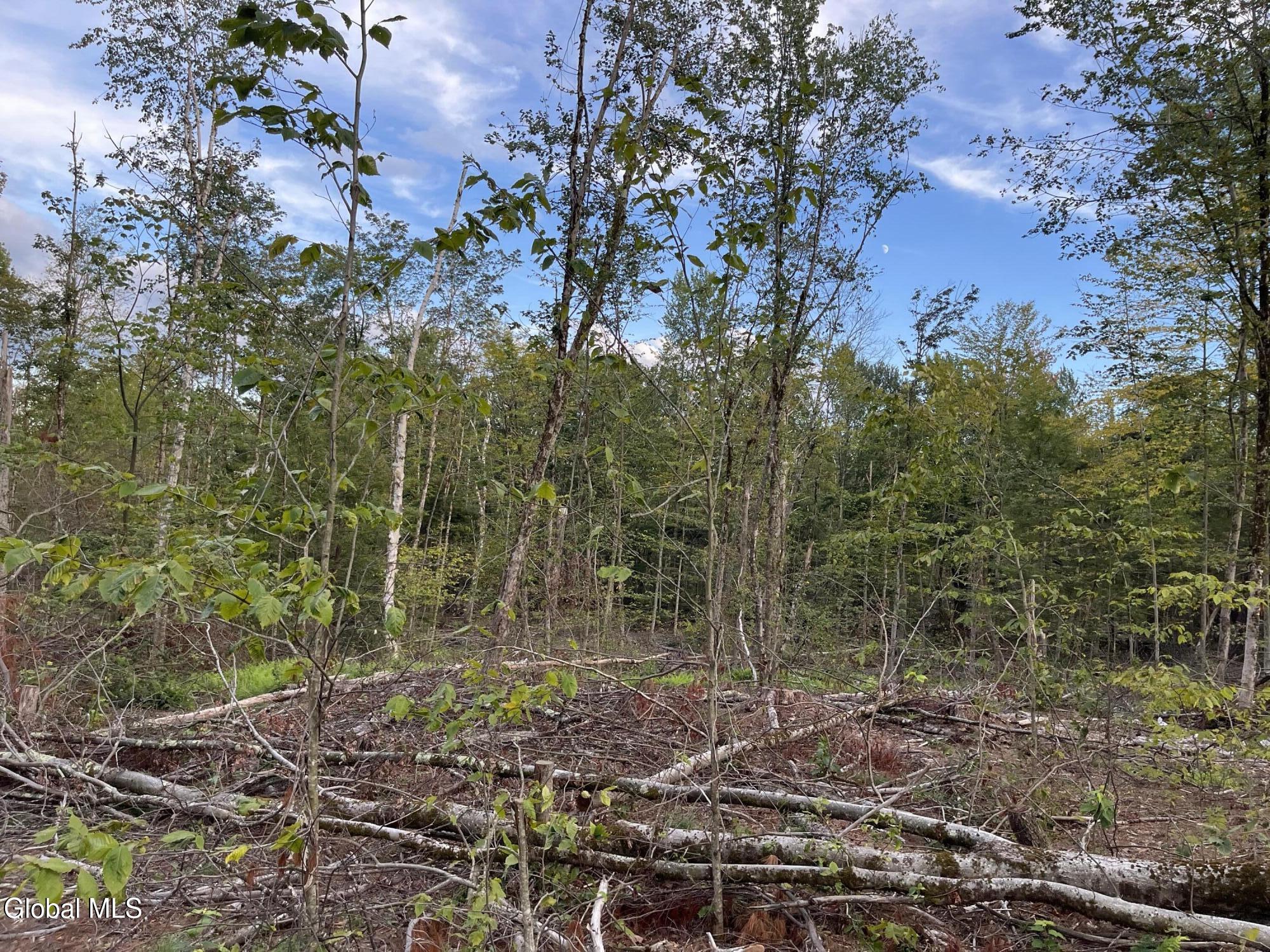 192 Crandall Road Petersburgh NY 12138