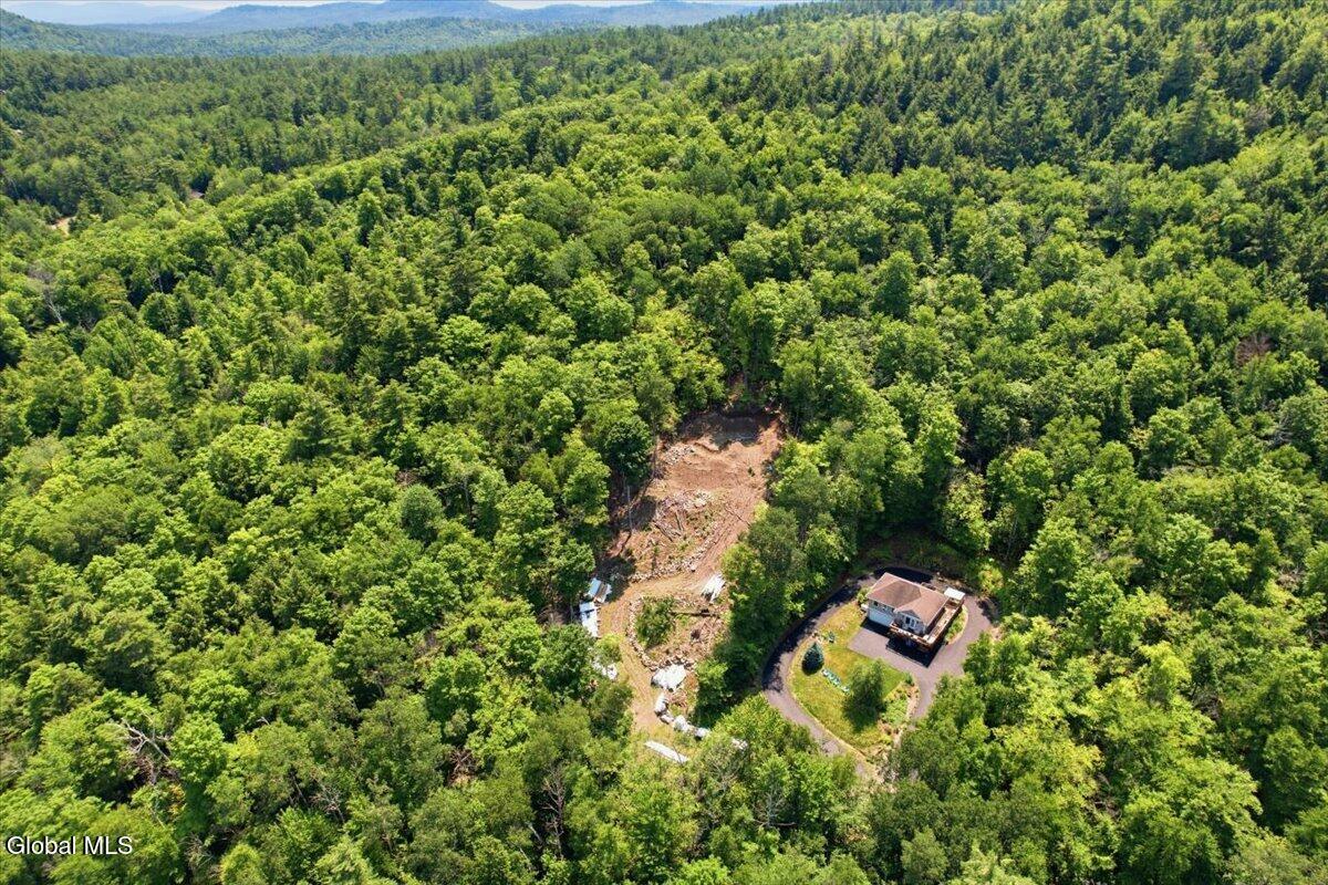 12 Eagle Point Drive Horicon NY 12808