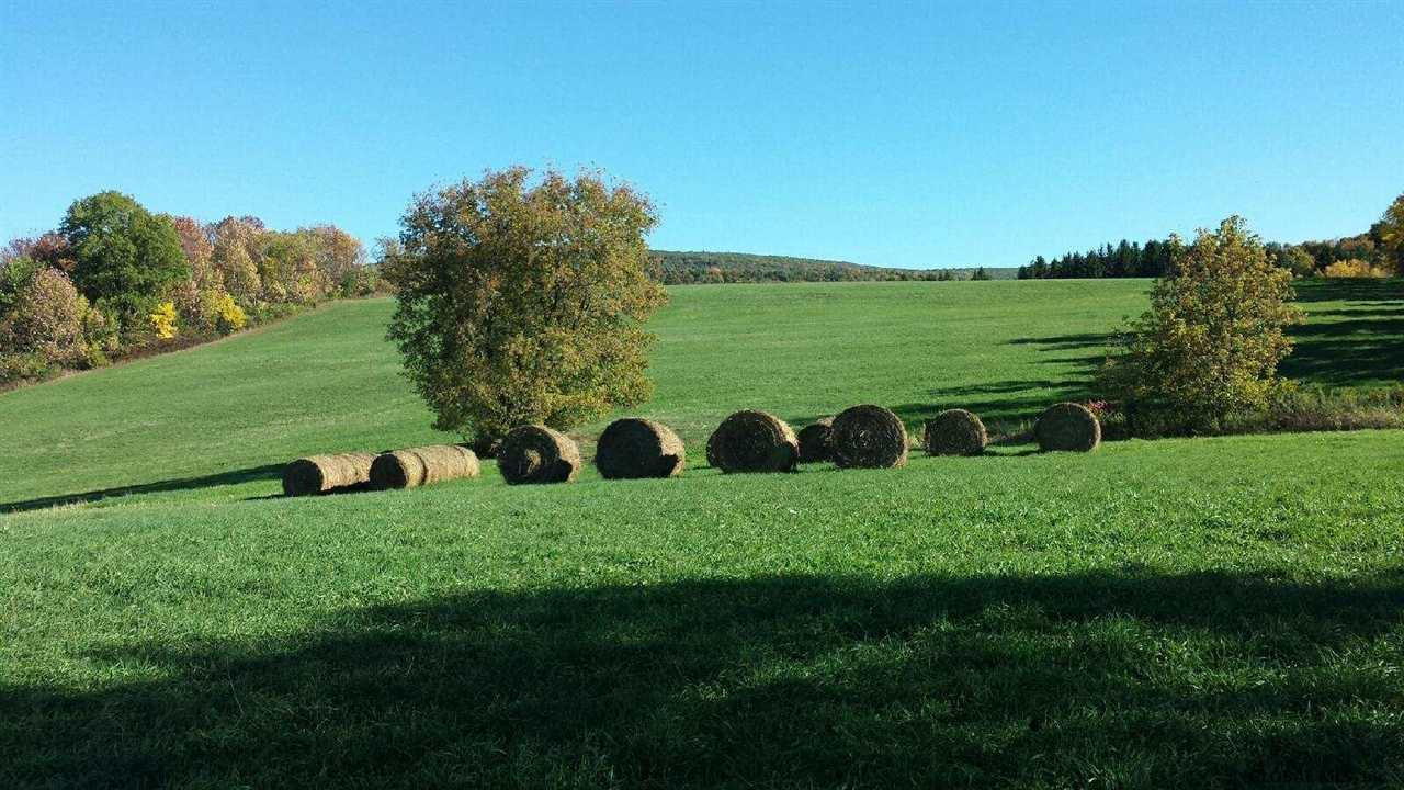 L14 State Route 7 Cobleskill NY 12043