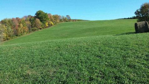 L14 State Route 7 Cobleskill NY 12043