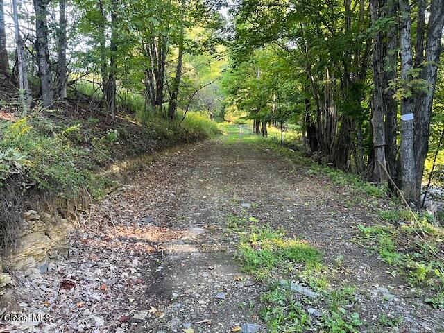 L1.12 Rossman Fly Road Summit NY 12175