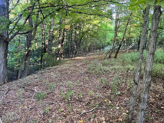 L1.12 Rossman Fly Road Summit NY 12175