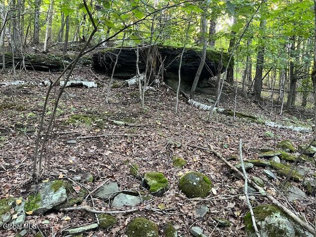 L1.12 Rossman Fly Road Summit NY 12175