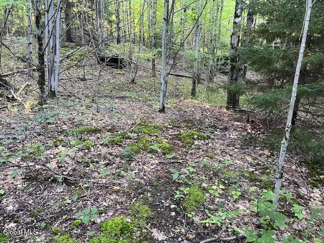 L1.12 Rossman Fly Road Summit NY 12175