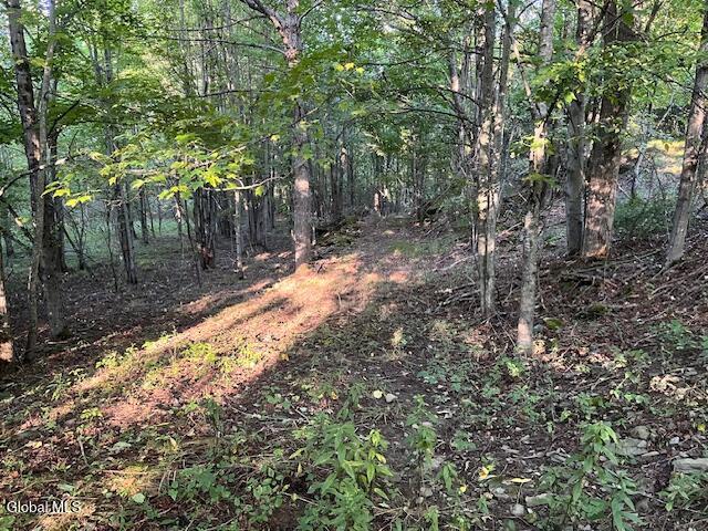 L1.12 Rossman Fly Road Summit NY 12175
