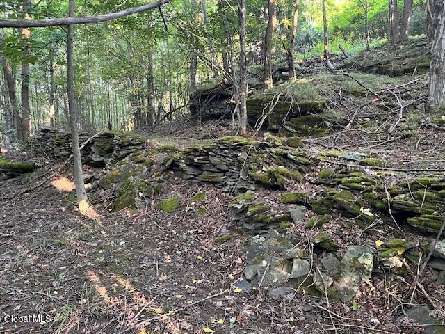 L1.12 Rossman Fly Road Summit NY 12175