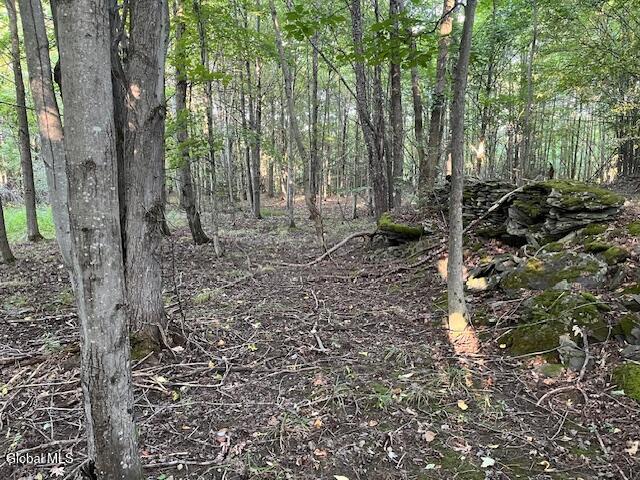L1.12 Rossman Fly Road Summit NY 12175