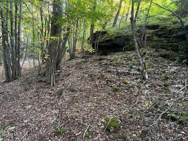 L1.12 Rossman Fly Road Summit NY 12175
