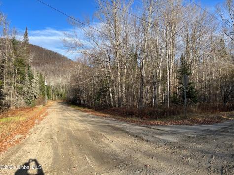 L46131 Lakeview Lane North River NY 12856