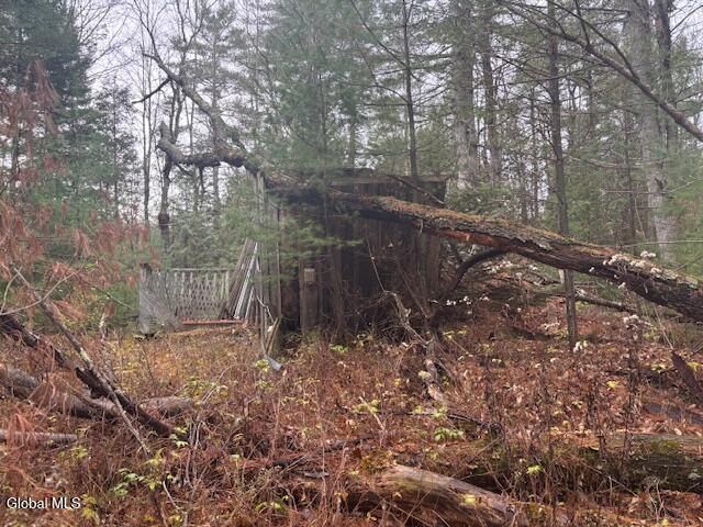 15 Deer Run Chestertown NY 12817