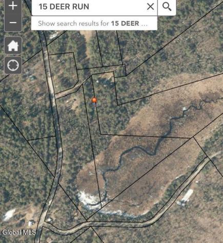 15 Deer Run Chestertown NY 12817