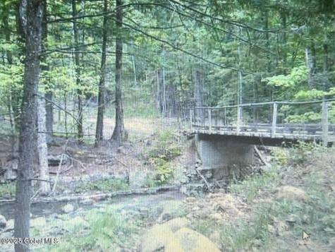 L1.2 Trout Brook Road Hague NY 12836