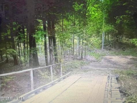 L1.2 Trout Brook Road Hague NY 12836