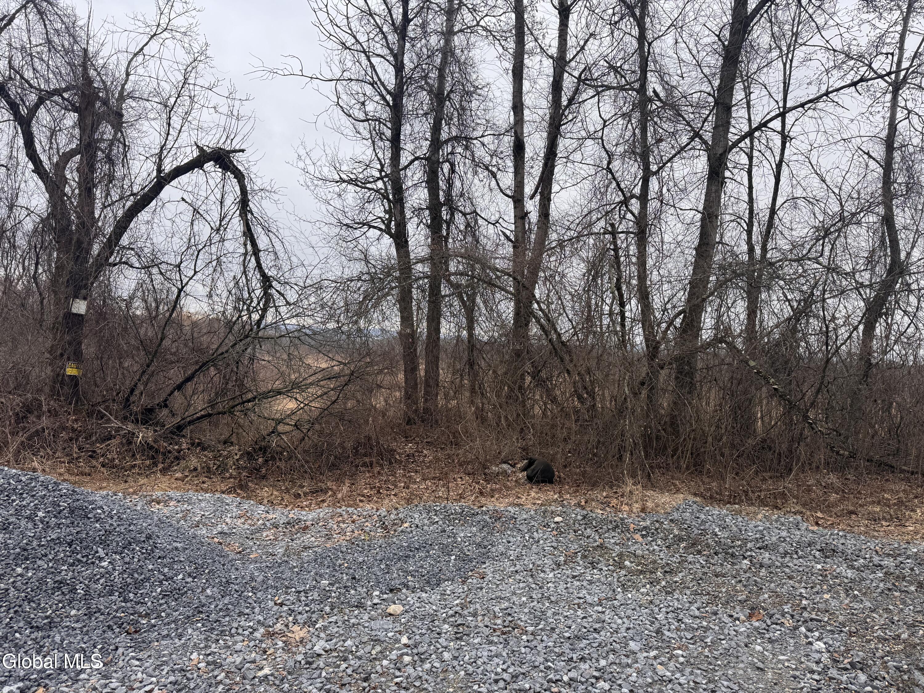 52 Hillview Drive Hudson Falls NY 12839