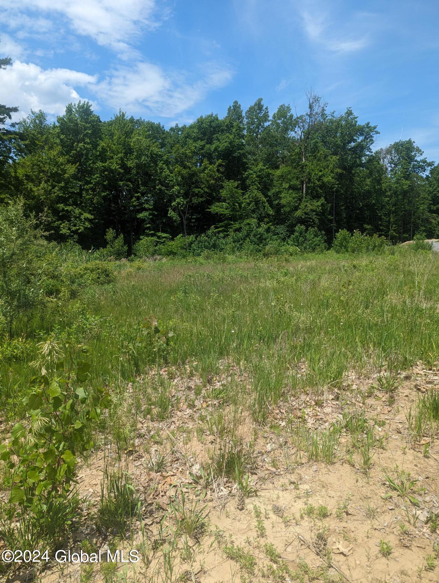 10 Dutch Lane Halfmoon NY 12118